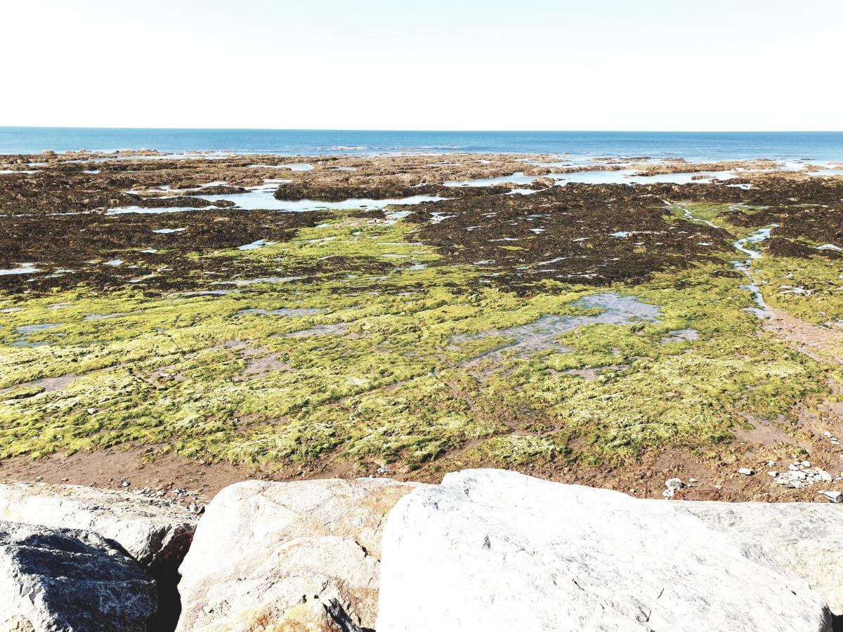 Le Temps D'Une Pause Bretignolles-sur-Mer Exterior photo
